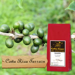 Costa Rica Tarrazu