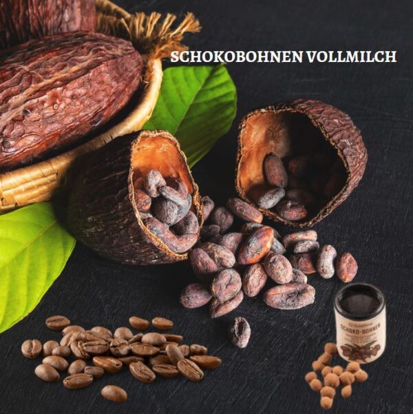 Schokobohnen Vollmilch 70g Dose Kaffeebohnen umhüllt mit feiner Vollmilchschokolade und Kakao